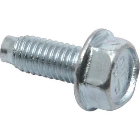 Briggs and Stratton screw - 699481