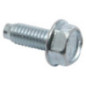 Briggs and Stratton screw - 699481