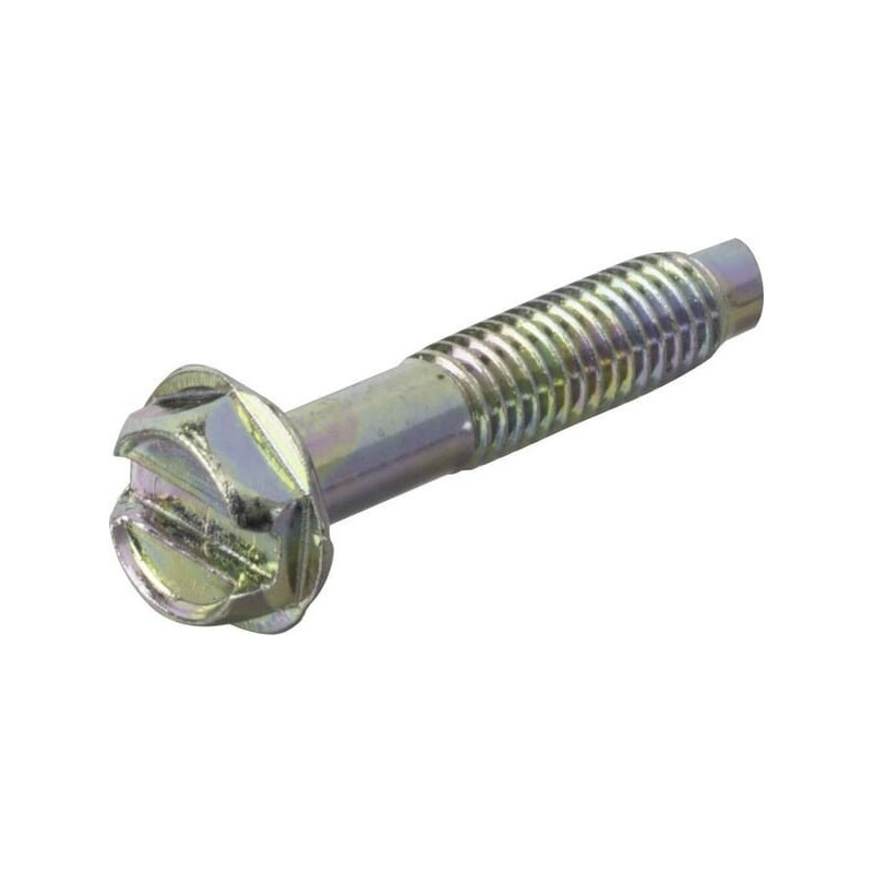 Briggs and Stratton screw - 699208