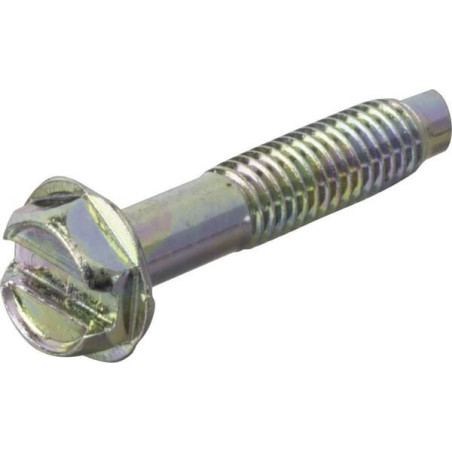 Briggs and Stratton screw - 699208