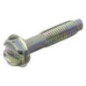 Briggs and Stratton screw - 699208