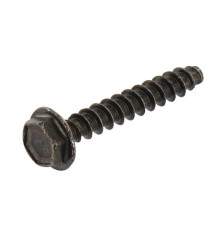 Tornillo Briggs y Stratton - 698425