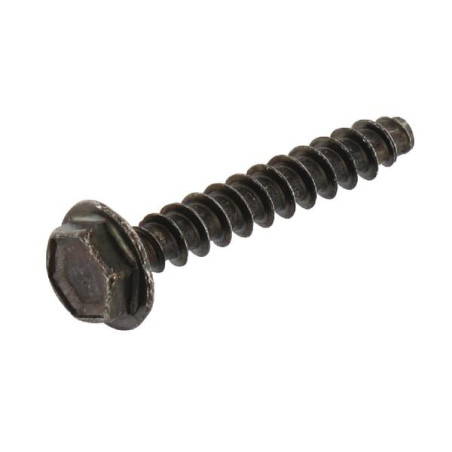 Briggs and Stratton screw - 698425