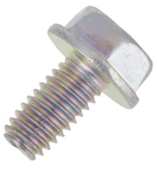 Briggs and Stratton screw - 692067