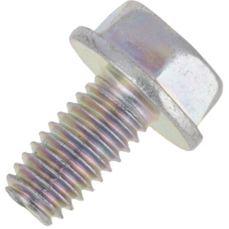 Briggs and Stratton screw - 692067
