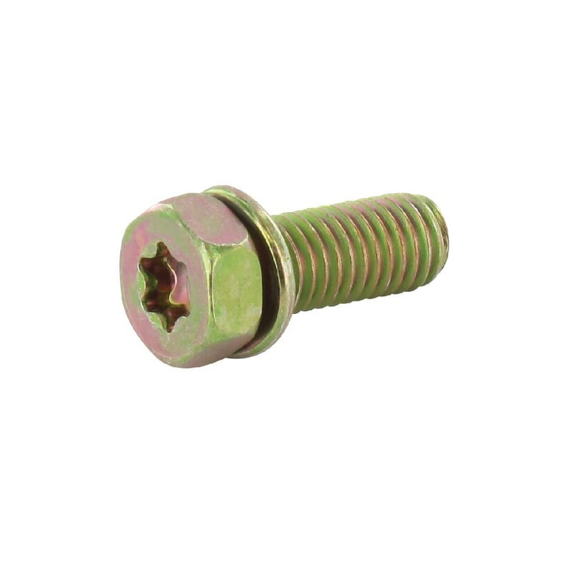 Briggs and Stratton screw - 691902