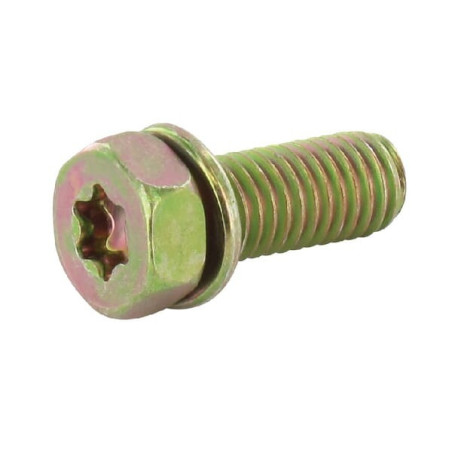 Briggs and Stratton screw - 691902