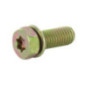 Briggs and Stratton screw - 691902