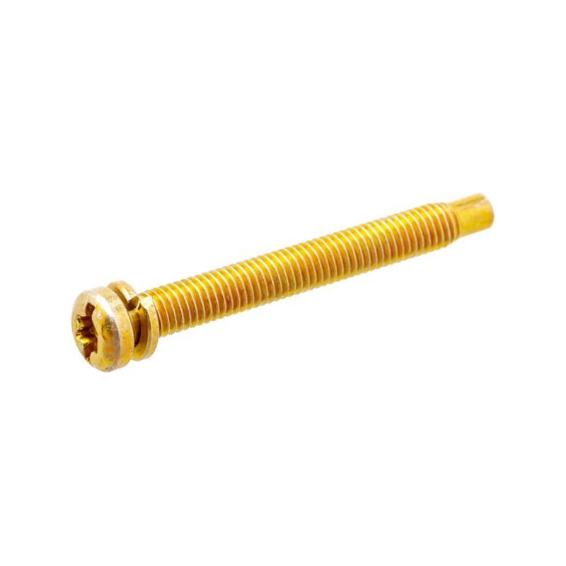 Briggs and Stratton screw - 691687