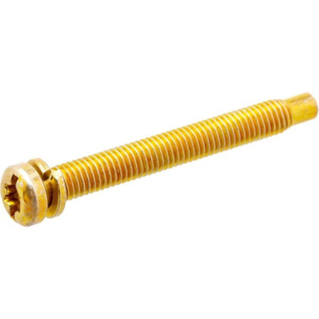 Briggs and Stratton screw - 691687