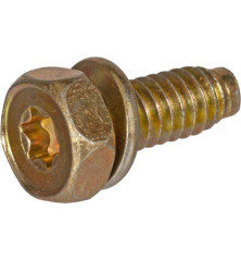 Briggs and Stratton screw - 691665