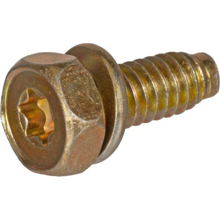 Briggs and Stratton screw - 691665