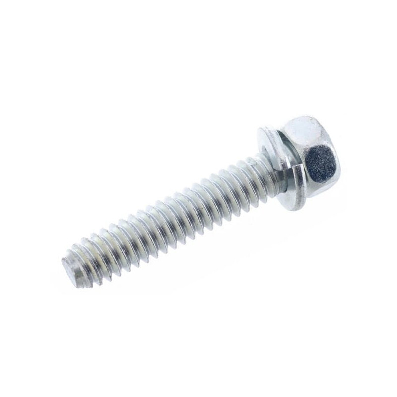 Briggs and Stratton screw - 691129