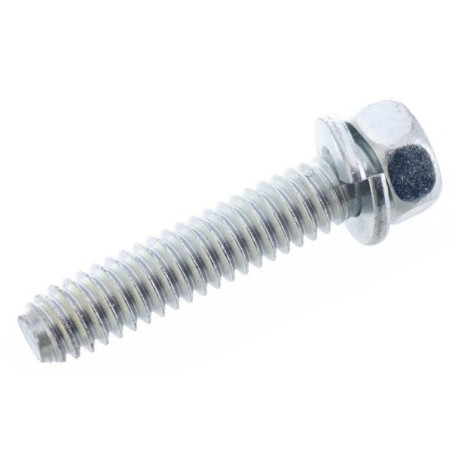 Briggs and Stratton screw - 691129