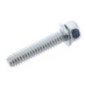 Briggs and Stratton screw - 691129