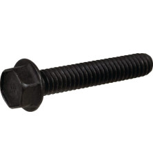 Briggs and Stratton screw - 691092