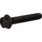 Briggs and Stratton screw - 691092