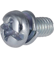 Briggs and Stratton screw - 690718