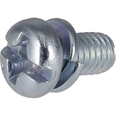 Briggs and Stratton screw - 690718