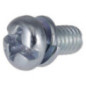Briggs and Stratton screw - 690718
