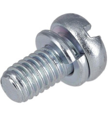 Briggs and Stratton screw - 690718 2