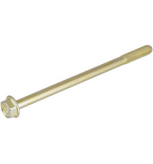 Briggs and Stratton screw - 596410
