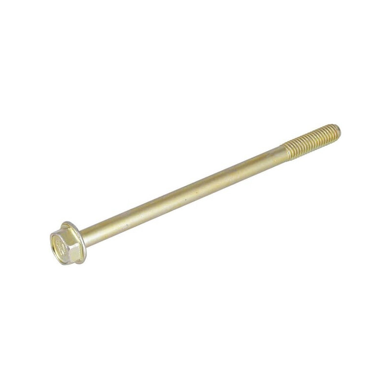 Briggs and Stratton screw - 596410