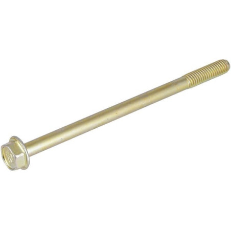 Briggs and Stratton screw - 596410