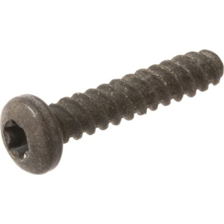 Briggs and Stratton screw - 594115