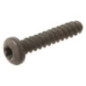 Briggs and Stratton screw - 594115