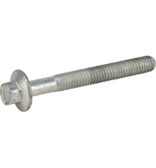 Briggs and Stratton screw - 592244