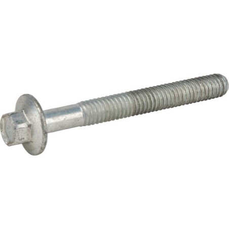 Briggs and Stratton screw - 592244