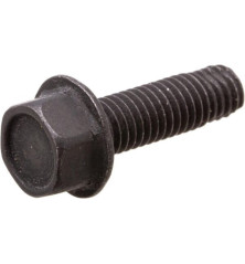 Briggs and Stratton screw - 590562