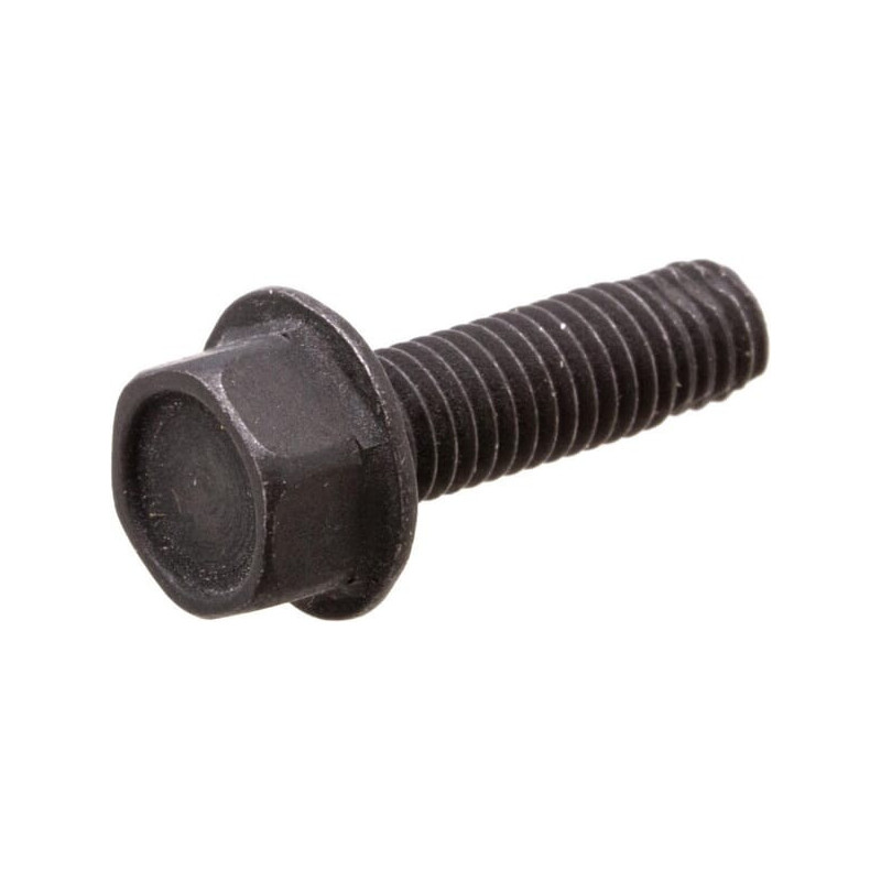 Briggs and Stratton screw - 590562
