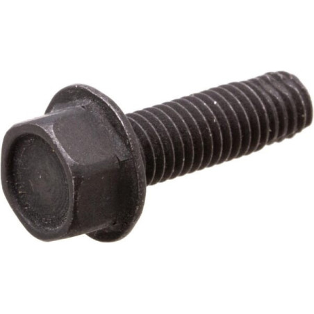 Briggs and Stratton screw - 590562
