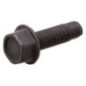 Tornillo Briggs y Stratton - 590562