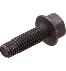 Briggs and Stratton screw - 590562 2