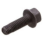 Briggs and Stratton screw - 590562