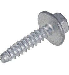Briggs and Stratton screw - 590554 2