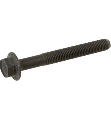Briggs and Stratton screw - 590512