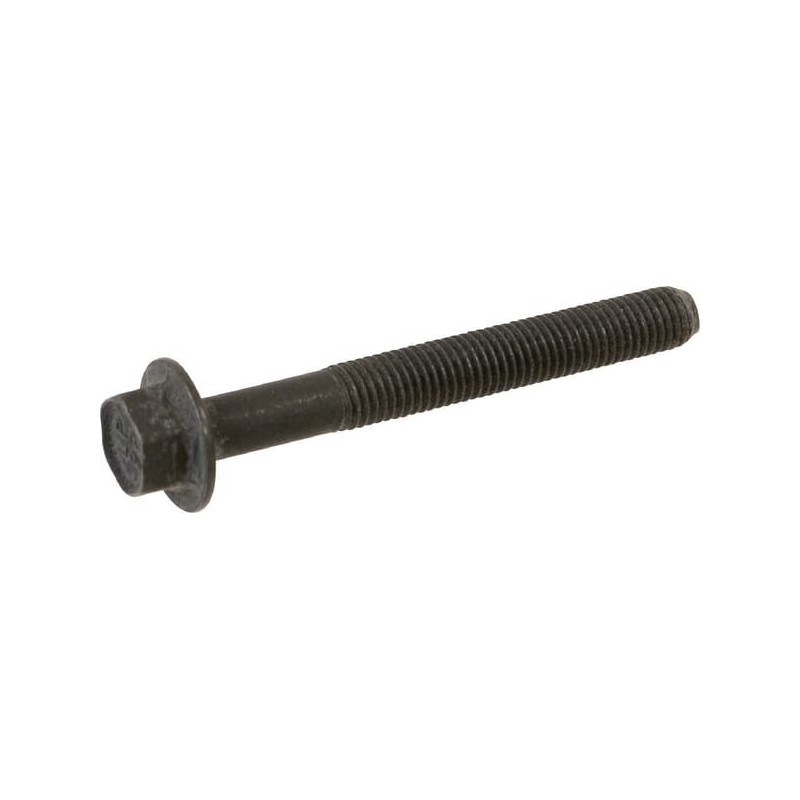 Briggs and Stratton screw - 590512