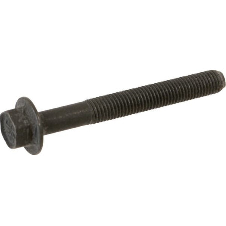 Briggs and Stratton screw - 590512