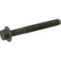 Briggs and Stratton screw - 590512