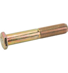 Briggs and Stratton screw - 1960370SM