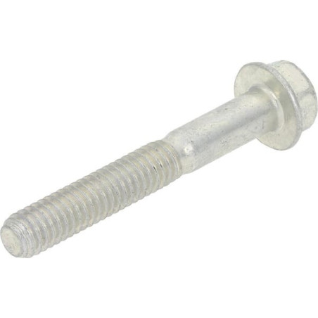 Briggs and Stratton screw - 690360WM