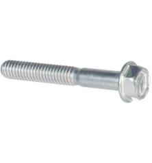 Briggs and Stratton screw - 690360WM 2