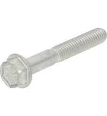 Briggs and Stratton screw - 690360WM 3