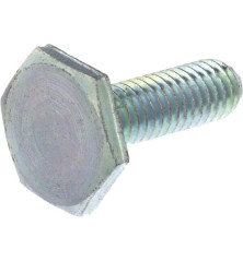 Briggs and Stratton screw - 1960032SM