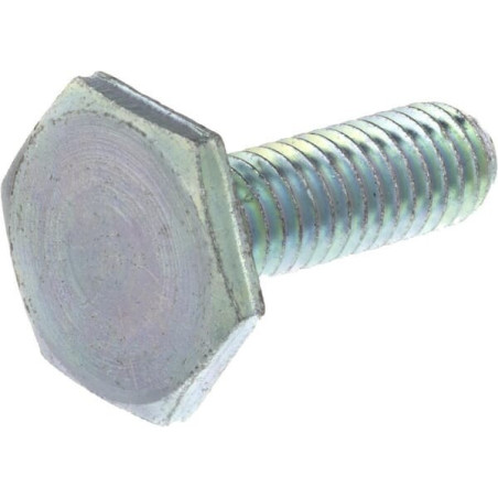 Briggs and Stratton screw - 1960032SM
