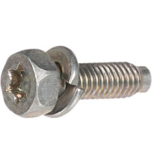 Briggs and Stratton screw - 791972